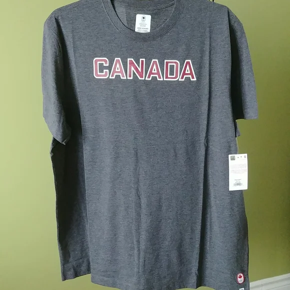 NWT XXL 🌟HOST PICK🌟T'shirt, Grey Color with logo "TORONTO" - Picture 1 of 7